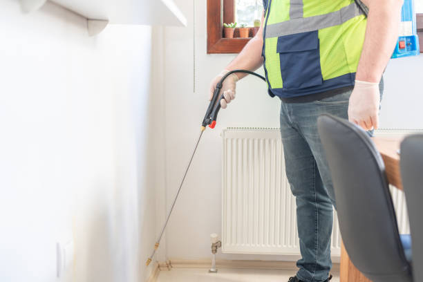 Wasp Removal Services in Riverside, PA